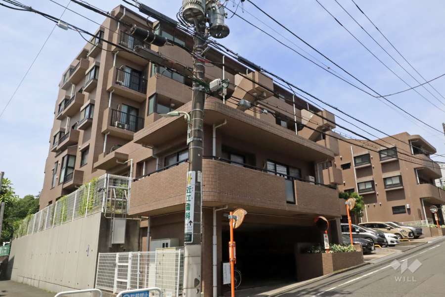 ライオンズガーデン上池台の外観（東側から）