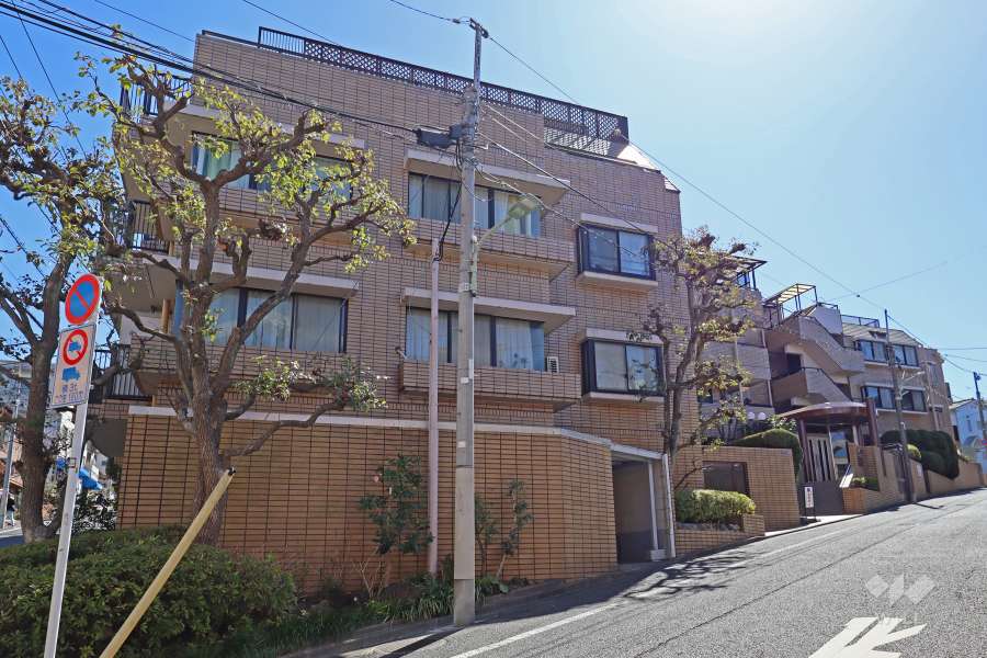 グリーンキャピタル上池台の外観（南東側から）