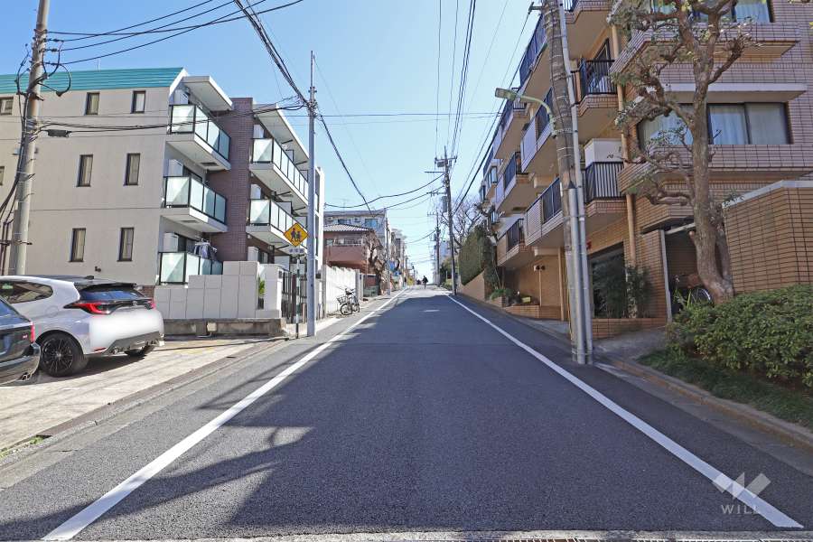 敷地の北東側道路（北西側から）