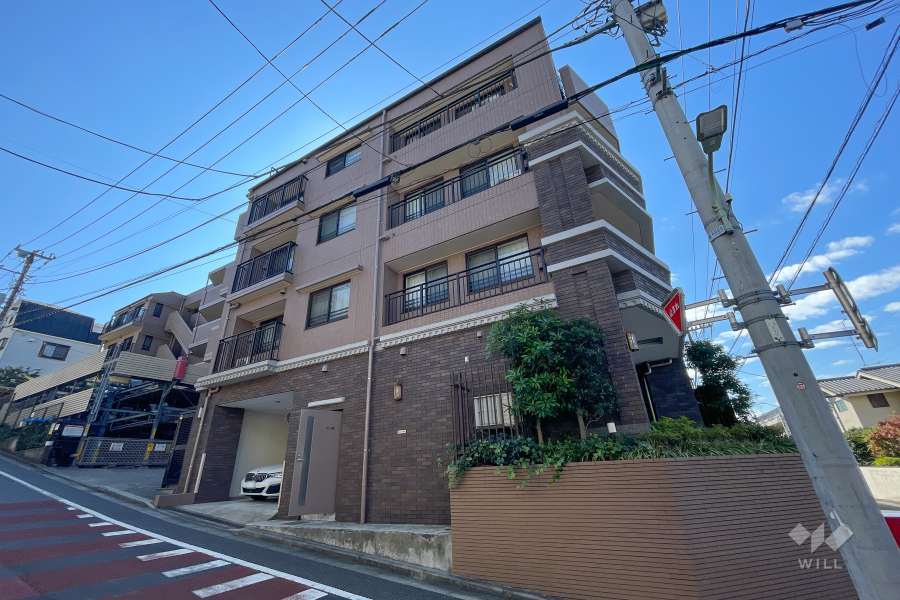 ナイスエスアリーナ上池台の外観（北側から）