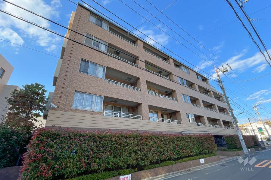 プラハ上池台ヒルズアクシアの外観（南側から）　　