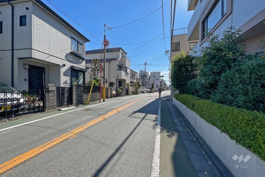 敷地東側の前面道路（北側から）