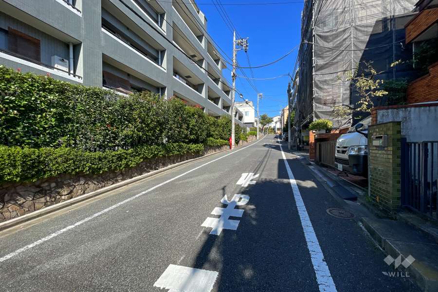 敷地南東側の前面道路（南西側から）