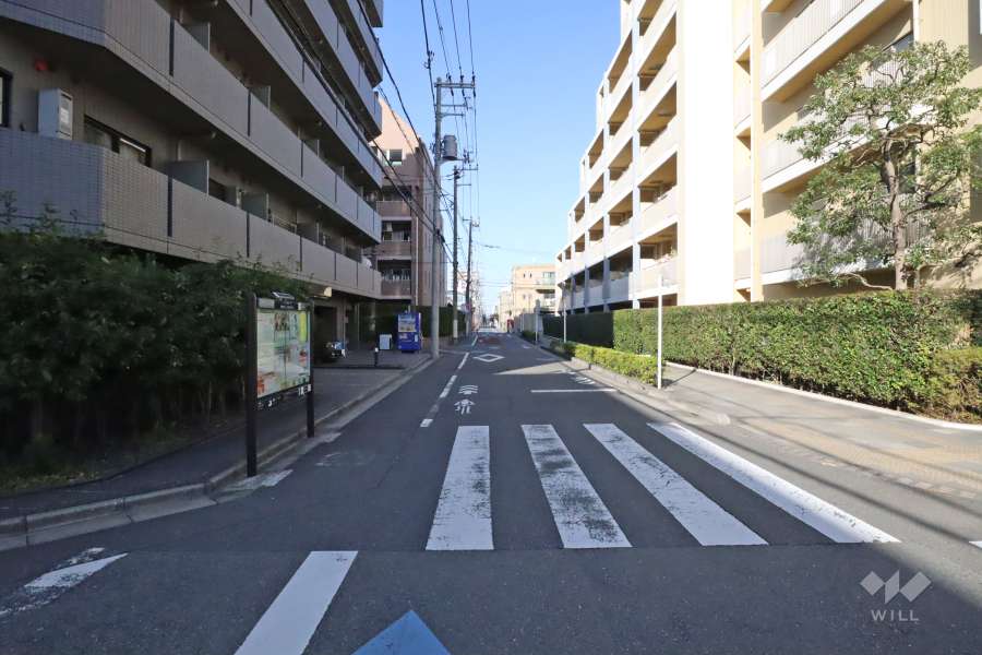 敷地東側の前面道路（南側から）