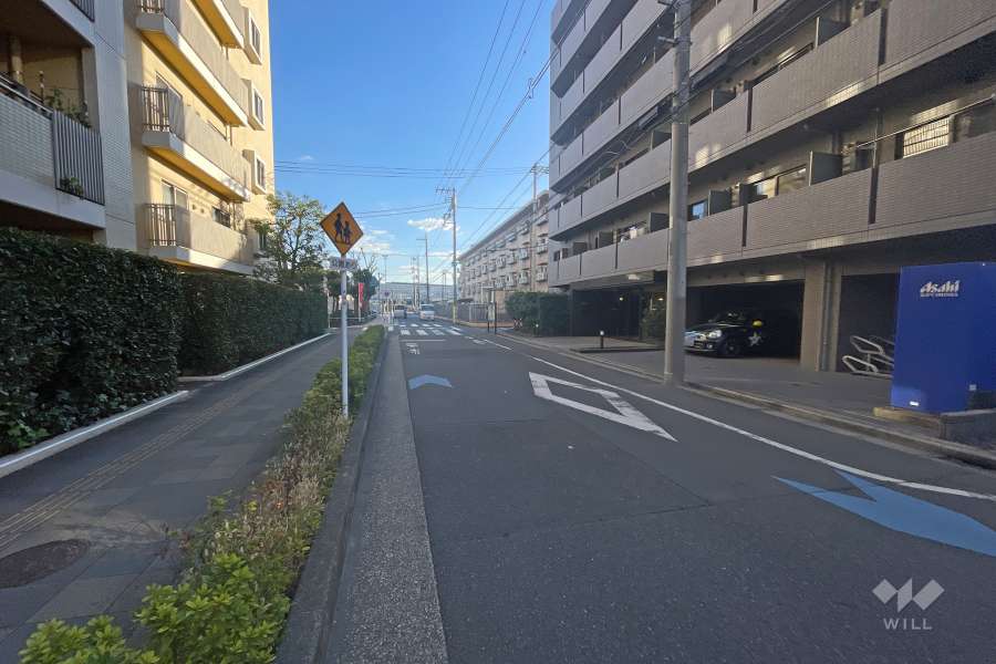 敷地東側の前面道路（北側から）