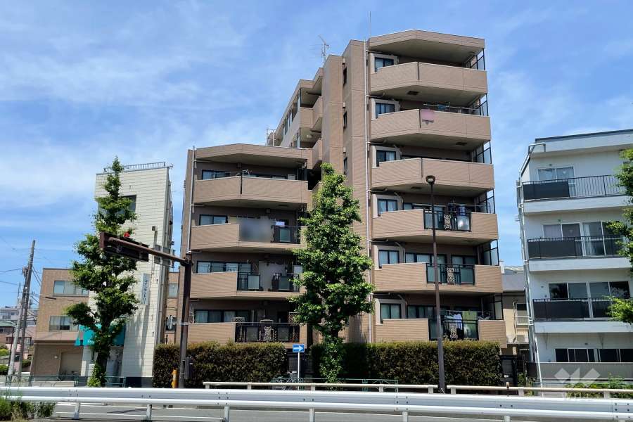 マイキャッスル新蒲田の外観（南東側から）