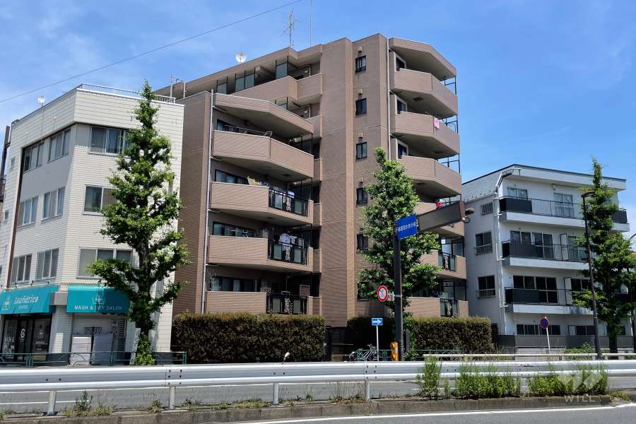 マイキャッスル新蒲田の外観（南西側から）