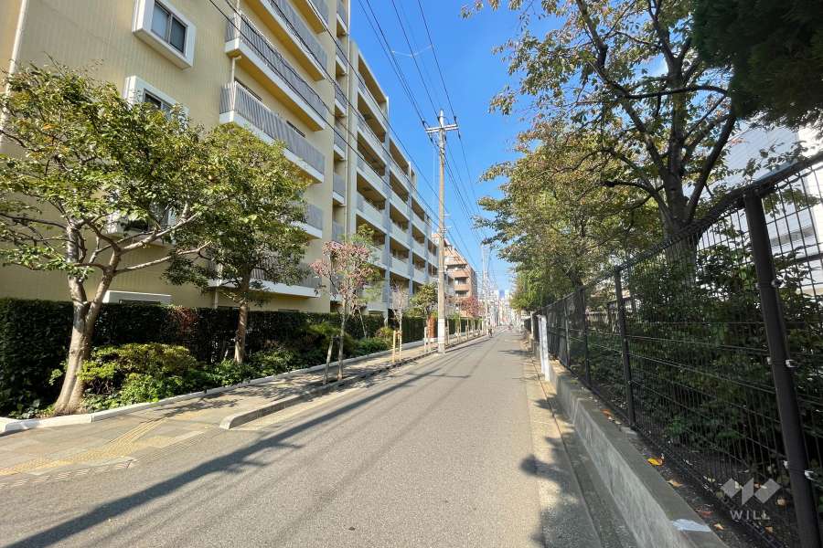 敷地の東側前面道路（南側から）