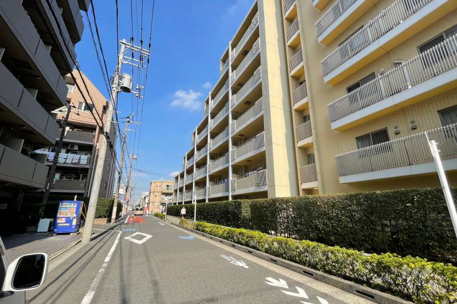 敷地の西側前面道路（南側から）