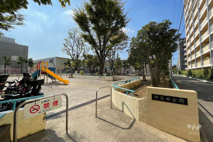 敷地の南側に『新蒲田公園』があります。