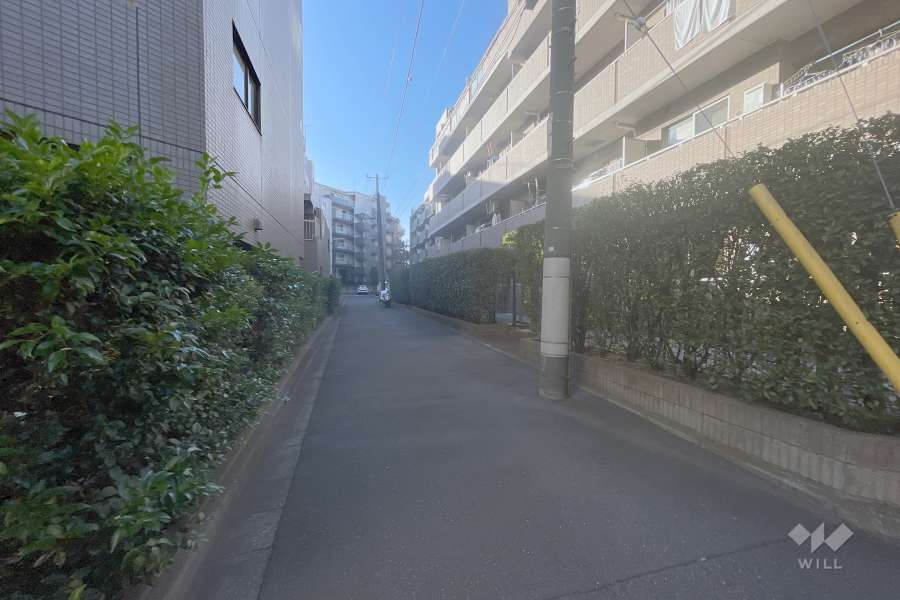 敷地東側の前面道路（南側から）