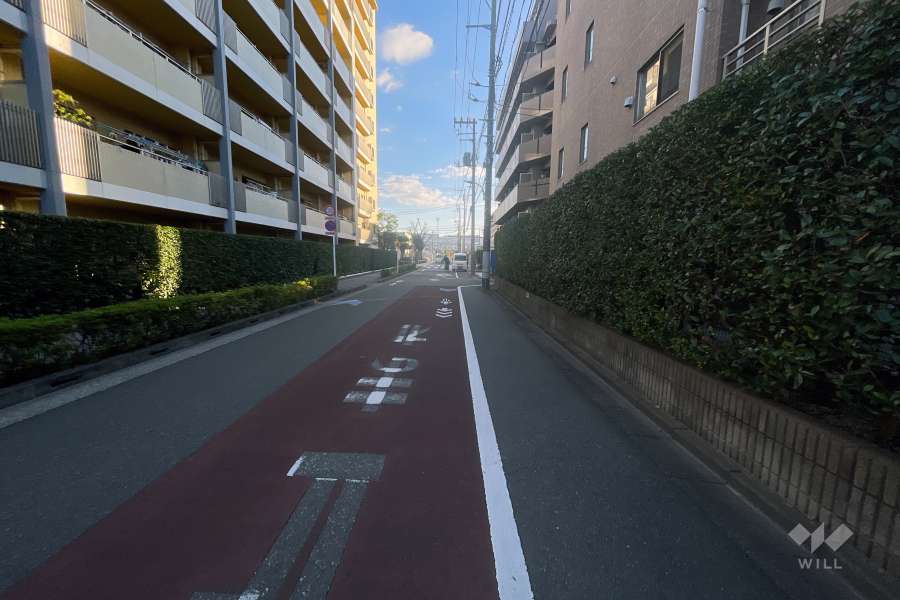 敷地西の側前面道路（南側から）