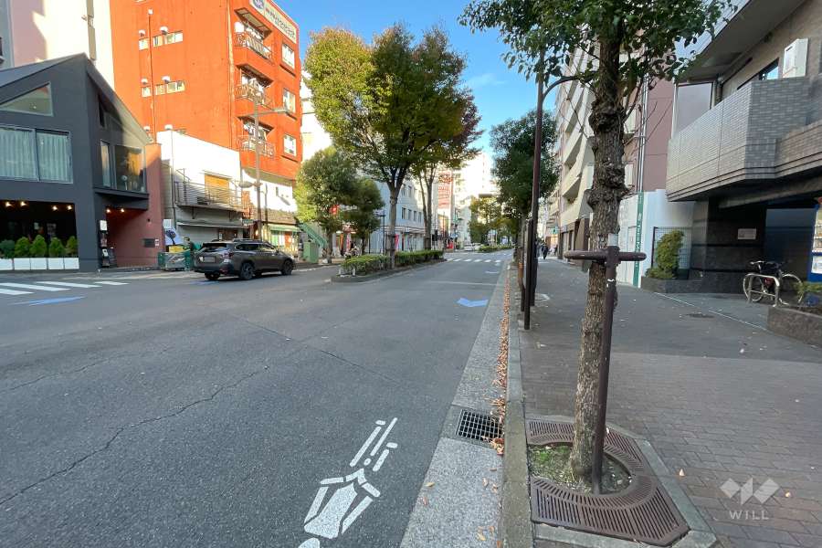 敷地北側の前面道路