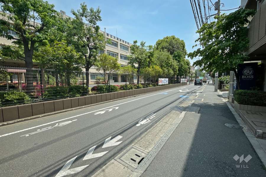 敷地東側の前面道路（北側から）