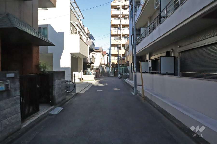 敷地南側の前面道路（南側から）