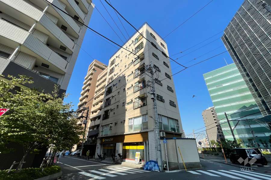 ルナハイツ蒲田の外観（南東側から）