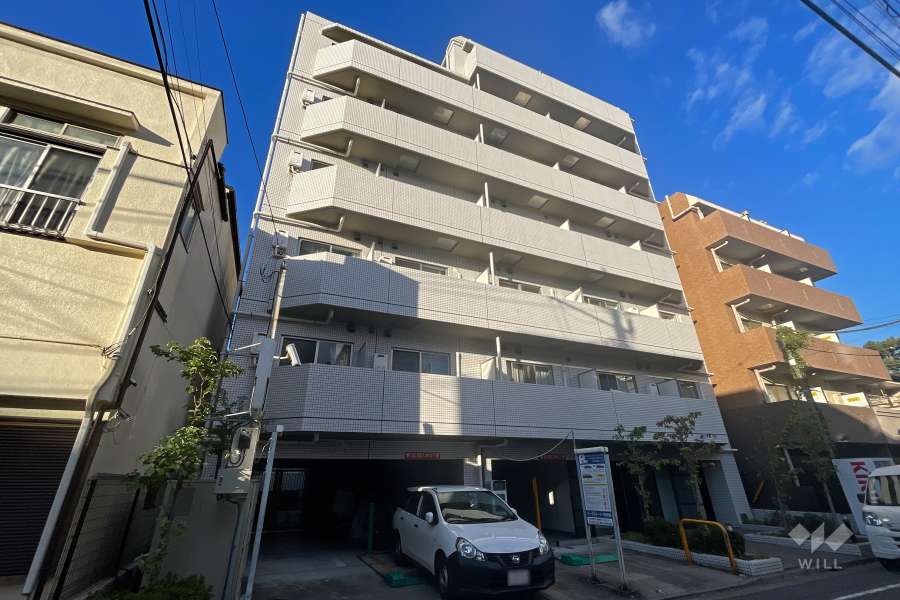 ステージグランデ蒲田の外観（南西側から）