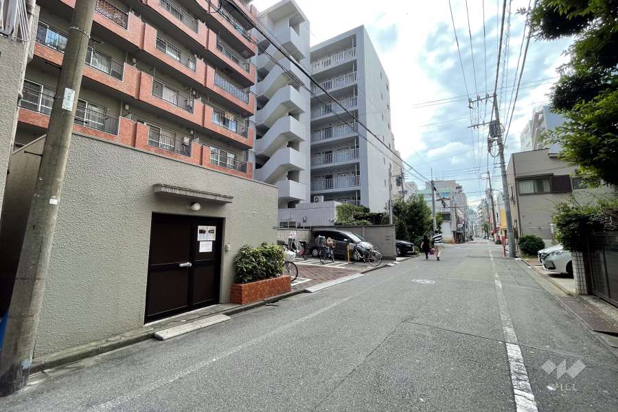 敷地北側の前面道路（西側から）