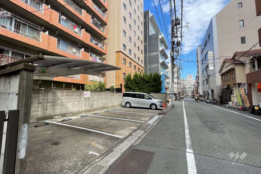 敷地南側の前面道路（西側から）