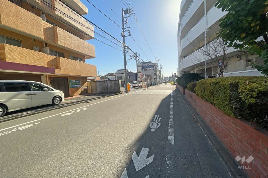 敷地西側の前面道路（北側から）