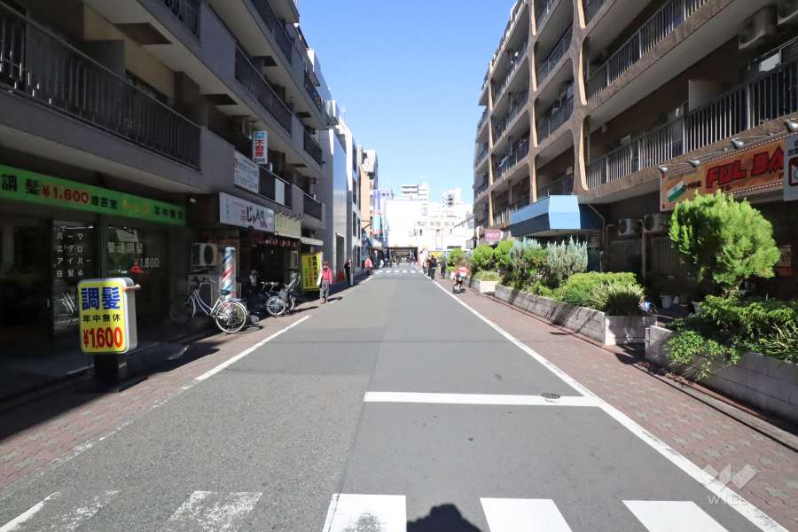 敷地東側の前面道路　
