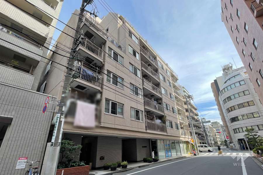 蒲田ビューハイツの外観（南西側から）