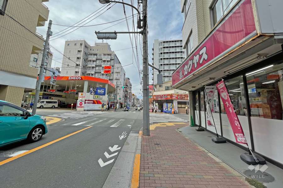 敷地の西側前面道路（南側から）