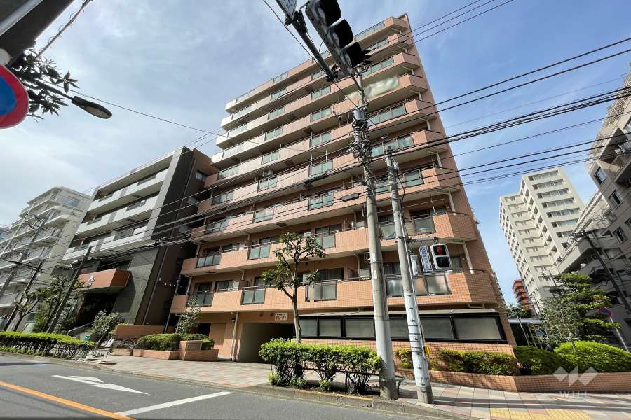 メイツ蒲田の外観　（北東側から）　　