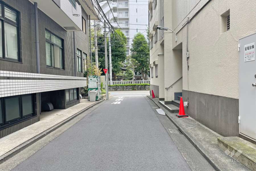 敷地北側の前面道路（西側から）