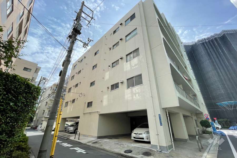 ルネ西蒲田の外観（北側から）