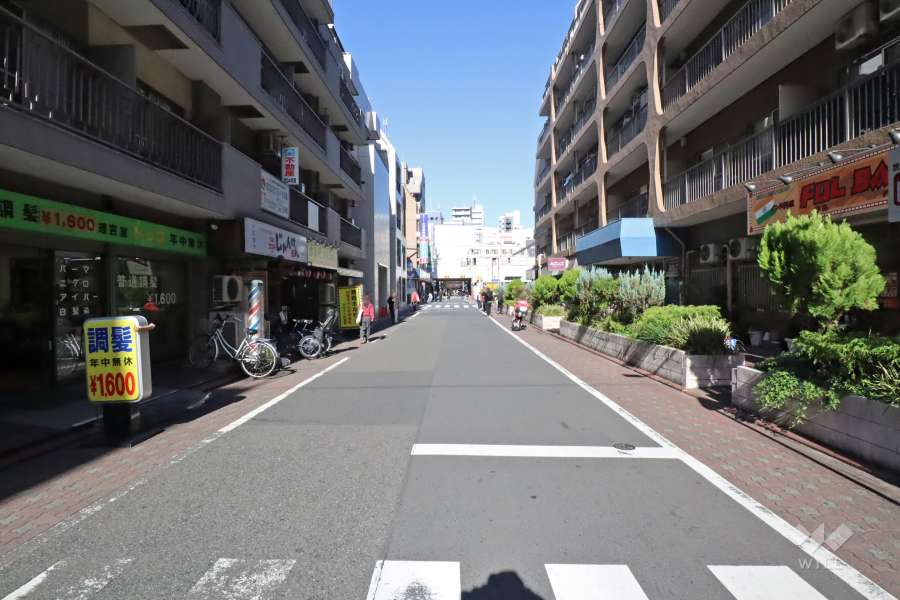 敷地西側の前面道路（南側から）