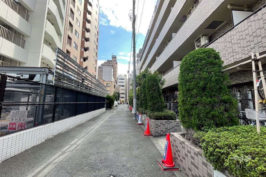 敷地東側の前面道路（北側から）