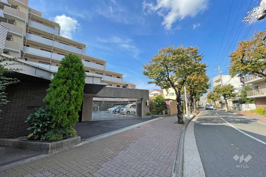 敷地北側の前面道路（西側から）