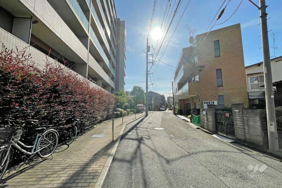 敷地西側の前面道路（北側から）