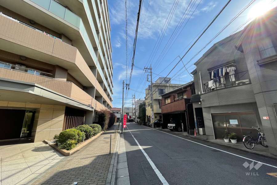 敷地南側の前面道路（西側から）