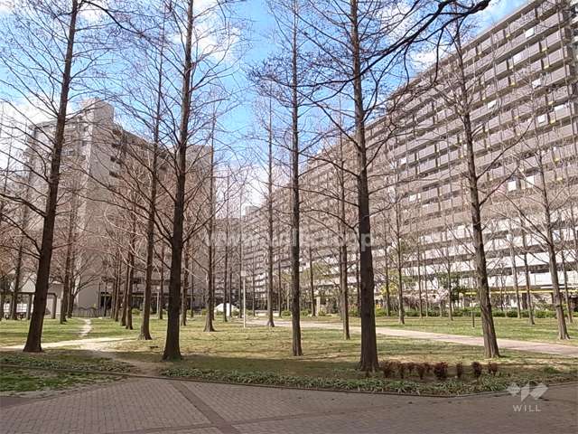 敷地内はたいへん緑豊かで、各所に広場やベンチが配置されています。