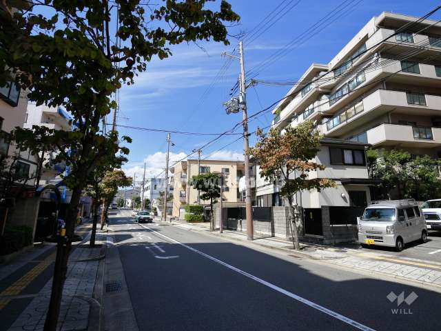 敷地南側の前面道路。街路樹の並ぶ通りです。