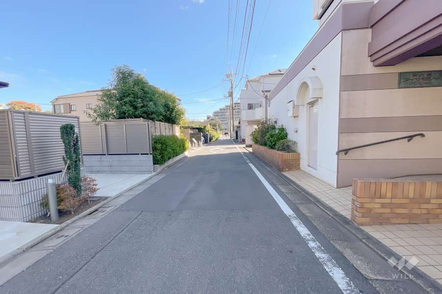 敷地北側の前面道路（西側から）