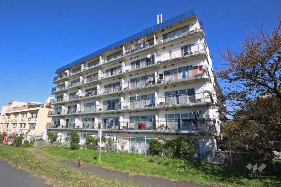 秀和多摩川レジデンスの外観（南西側から）