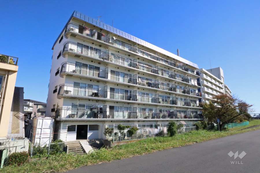 秀和多摩川レジデンスの外観（西側から）