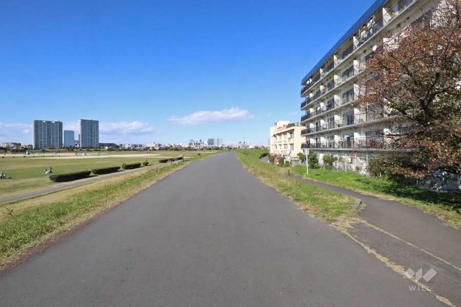 敷地南西側の前面道路（南東側から）