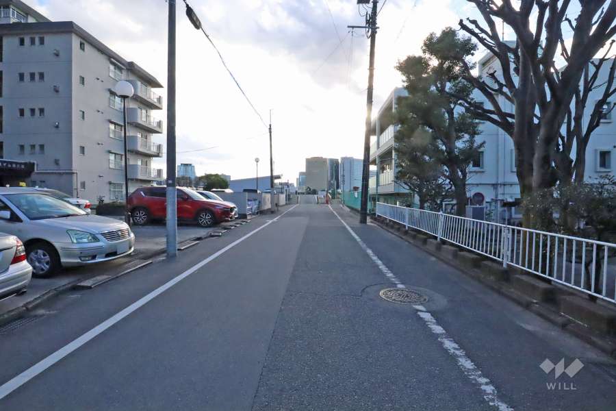 敷地西側の前面道路(北側から)