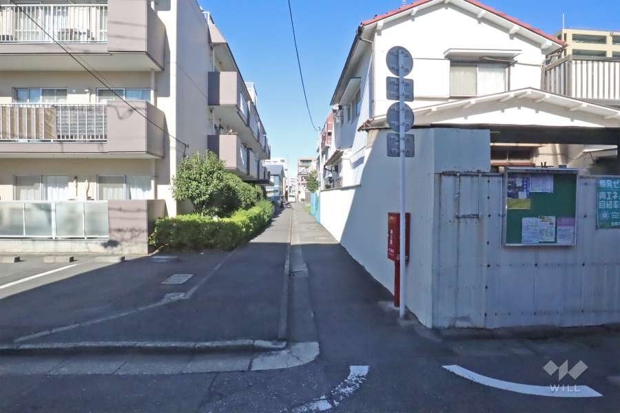 敷地東側の前面道路（南側から）