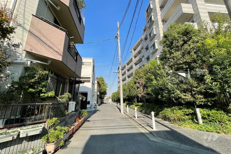 敷地西側の前面道路（南側から）