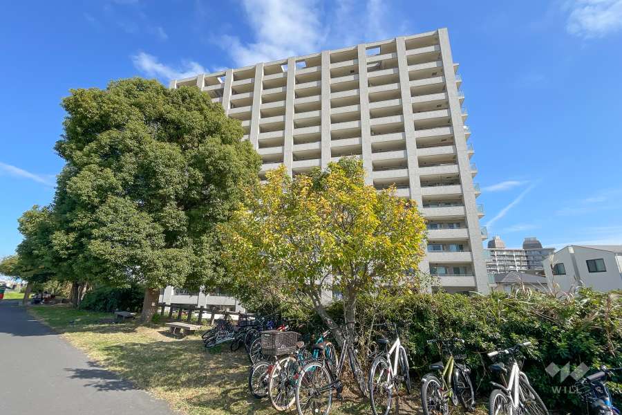 グランイーグル多摩川スカイフロントの外観（南西側から）