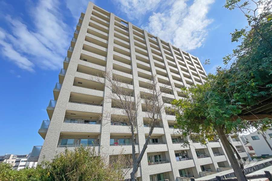 グランイーグル多摩川スカイフロントの外観（北西側から）