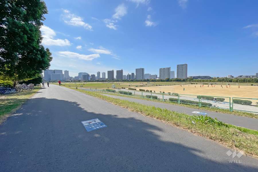 敷地西側の前面道路（北側から）