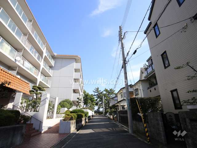 敷地南側の前面道路