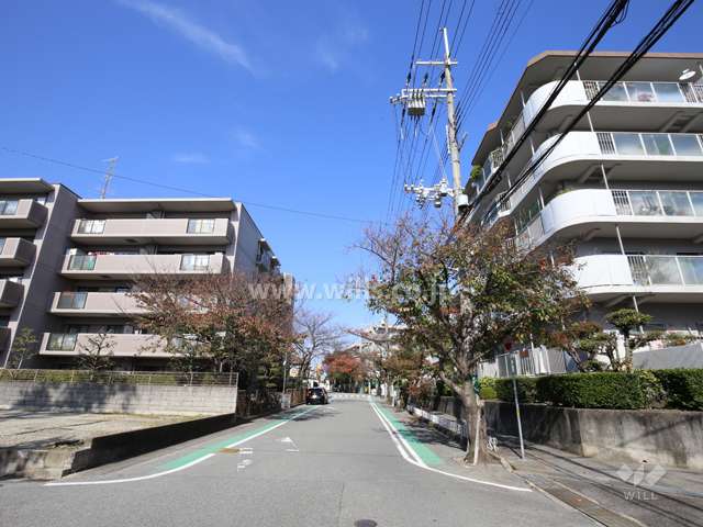 敷地西側の前面道路