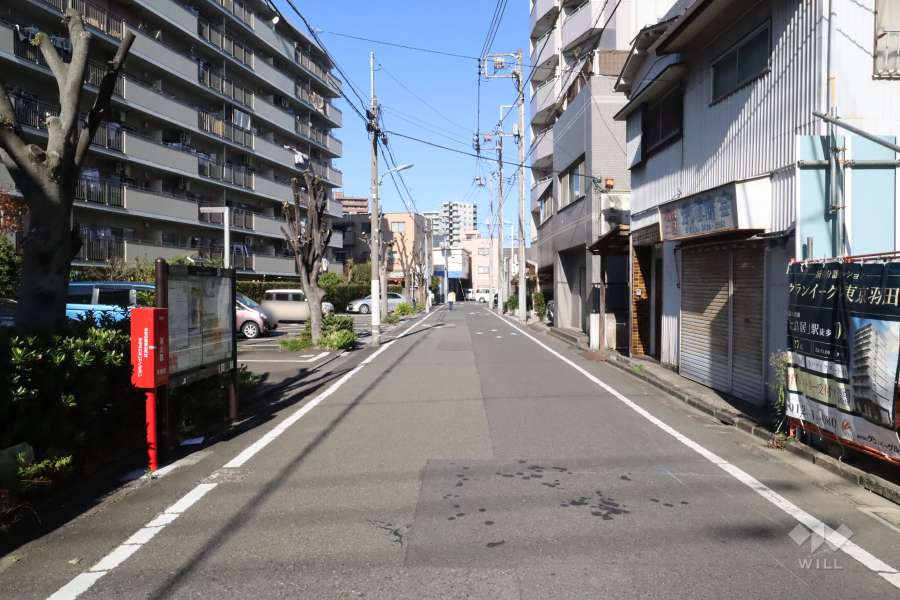 敷地東側の前面道路(南側から)